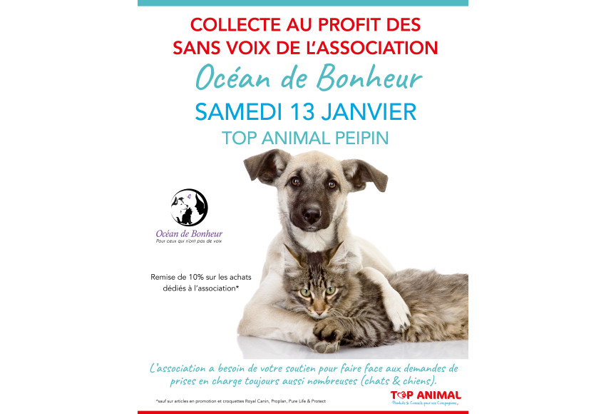 COLLECTE AU PROFIT DE L'ASSOCIATION OCEAN DE BONHEUR